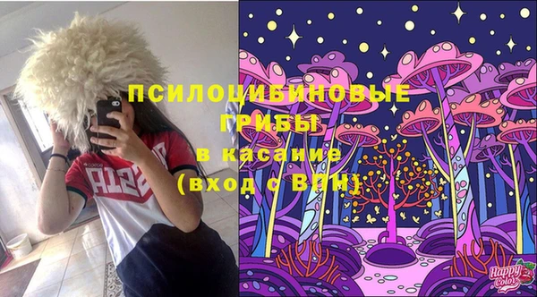 молекула духа Армянск