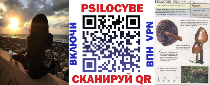 Галлюциногенные грибы Psilocybe  где продают   Сенгилей 